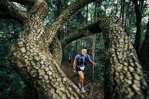 BIB: 
                            <button type="button" onclick="openModal(25394323)" class="btn btn-primary btn-sm float-right btn-popup" data-toggle="modal" data-target=".modal-high-quality">
                        <i class="fas fa-shopping-cart"></i> Add to Cart
                    </button>
                                            <button type="button" onclick="isThisMe(25394323, true)" class="btn btn-success btn-sm float-right btn-popup btn-isme hidden" data-toggle="tooltip" data-placement="bottom" title="นี่คือรูปของคุณใช่ไหม คลิกที่นี่เพื่อเอาเข้าอัลบั้ม">
                        <i class="fas fa-plus"></i> Add to album
                    </button>
                    <button type="button" onclick="isThisMe(25394323, false)" class="btn btn-warning btn-sm float-right btn-popup btn-isnotme hidden">
                        <i class="fas fa-ban"></i> Remove from album
                    </button>